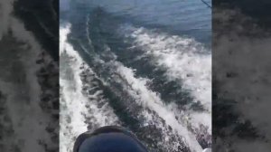 Тохатсу 18 + Гладиатор 380