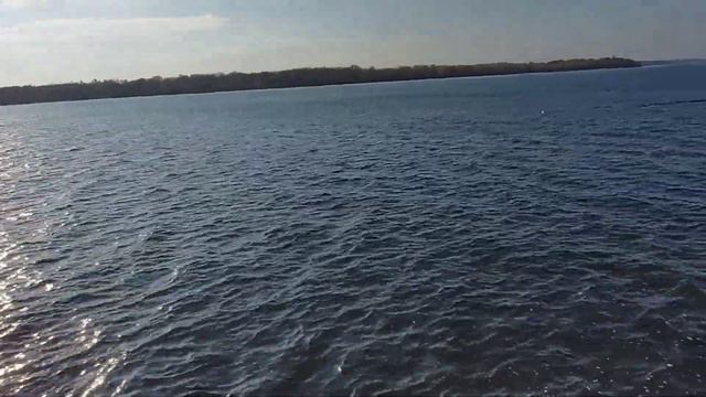 Запорожье его словили 8.11.2022 смотреть онлайн