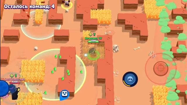 Новый видосик по бравлу #4 будет очень весело смотреть онлайн