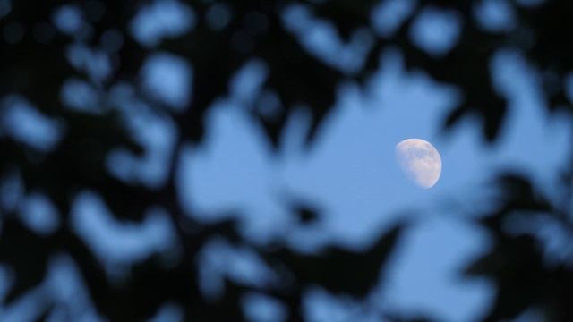 СПОКОЙНОЙ НОЧИ! ПОСЛУШАЙ И МОМЕНТАЛЬНО УСНИ, ПРИЯТНАЯ МУЗЫКА ДЛЯ СНА смотреть онлайн