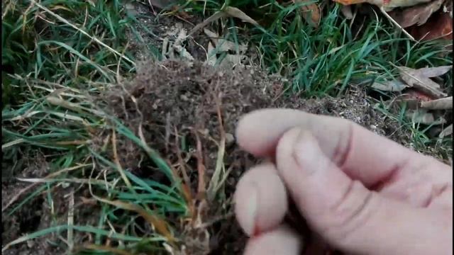 Монеты ещё идут , а куда они денутся! смотреть онлайн