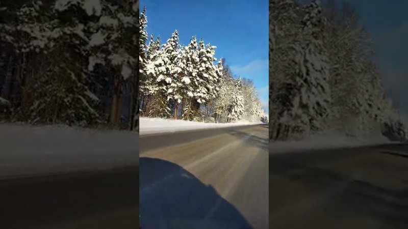 Зимняя дорога в Сибири!