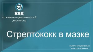 252  Стрептококк в мазке
