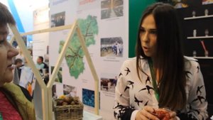 Сорта томатов на выставке Золотая Осень 2016, ВДНХ, Москва.