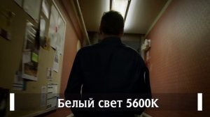 Эммануэль Любецки-лучший оператор современности