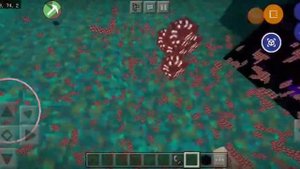 X ray на незерит в Майнкрафт пе 1.16+