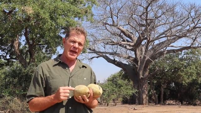 Baobab Superfruit - Africa's Gift to You смотреть онлайн