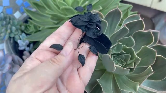 Чокер с цветком. Черный чокер с авторской композицией из листьев и веточек. Черное колье на шею. смотреть онлайн