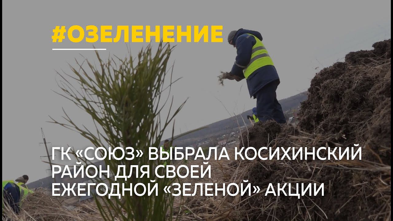 К фестивалю Роберта Рождественского в Косихе высадят тысячи деревьев