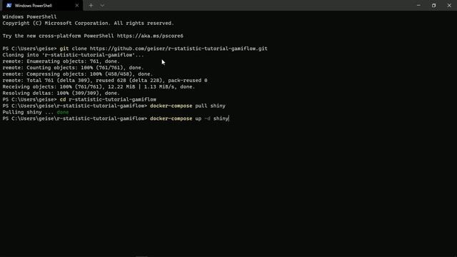 docker r shiny statistic смотреть онлайн