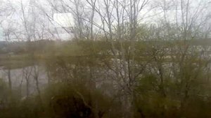 Река Луга. Толмачёво. Ленинградская область