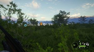 theHunter:Call of the Wild/Охота на Утку(Каменушку)