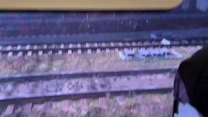 Ласточка, вагоны очень даже комфортные.