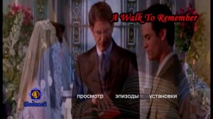 Спеши любить