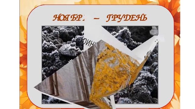 Эко-занятие "Путешествие в осенний лес. Краски осени" смотреть онлайн