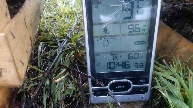 Залог хорошего урожая на клубнике смотреть онлайн