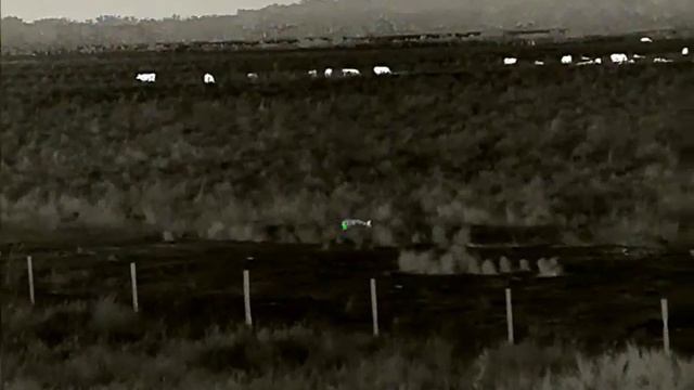 3 hunts 243 65 gr vmax Iray Rico MK1 640 zoom F1 mic record смотреть онлайн