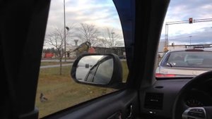 Прикол на финской границе:)