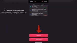 КАК ИМПОРТИРОВАТЬ СЕРТИФИКАТ В СКАРЛЕТ? ОШИБКА P12? Invalid password Scarlet.