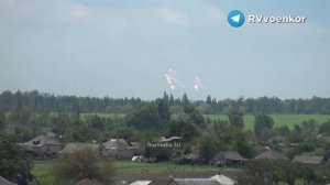 Работа грачей