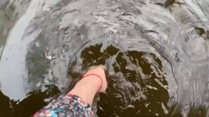 Королевский парк тюльпанов Кёкенхоф в Нидерландах. Keukenhof park 2023.