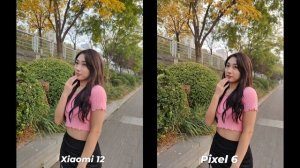 Xiaomi 12 vs Pixel 6 Camera Comparison