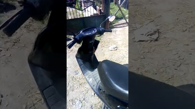 Скутер HONDA DIO AF27 смотреть онлайн