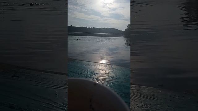 Релакс))) Утро уходящего лета... смотреть онлайн