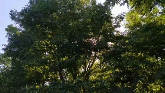 Рыбалка по-женски. Часть 5. Новое рыбное место! ст.Васюринская смотреть онлайн