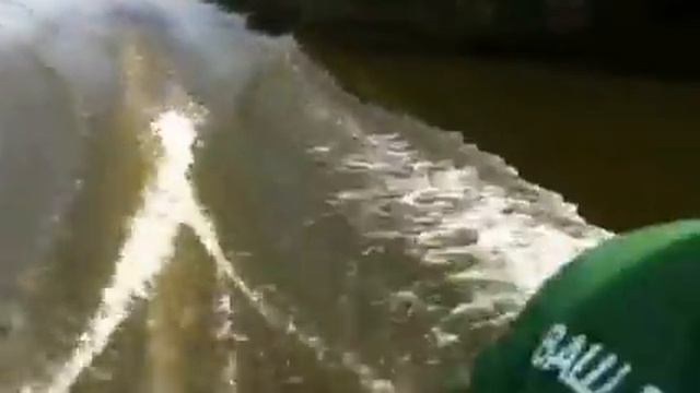 Tohatsu M9.8BS смотреть онлайн