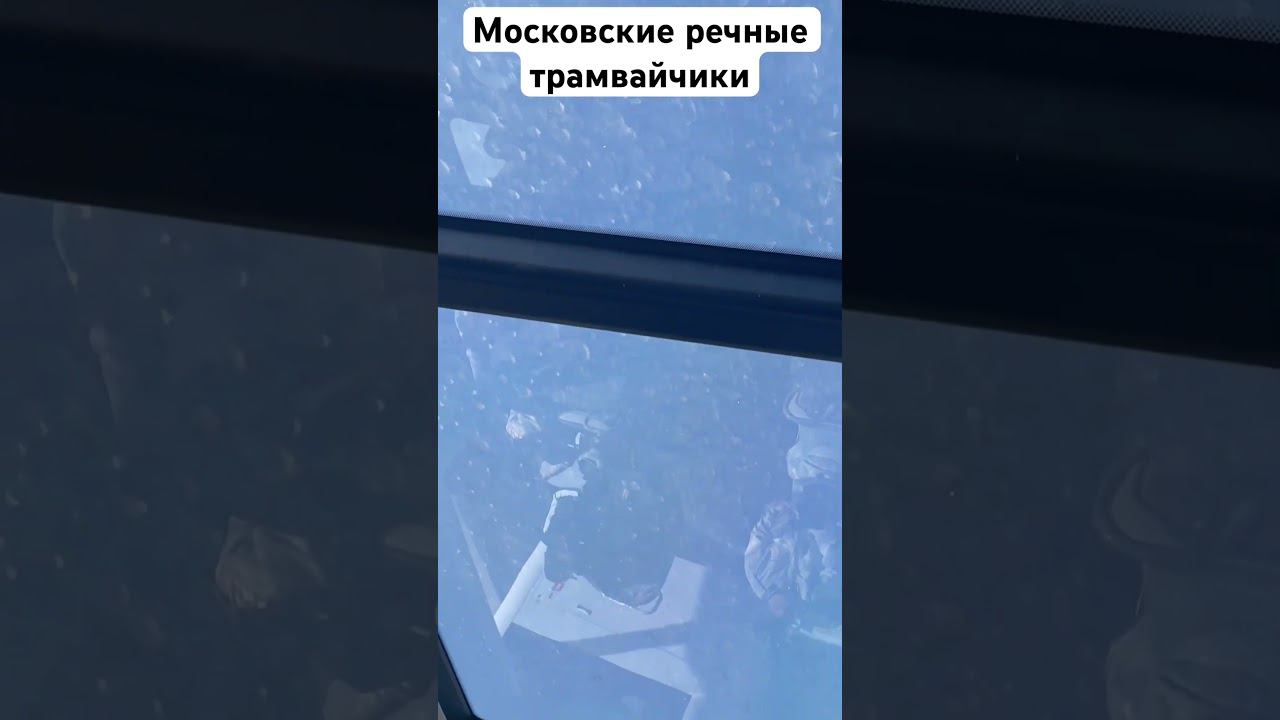Московский речной транспорт. Навигация 2024 #москва #навигация #московскийтранспорт