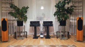 ROTEL RCD 855---NAD C 355 BEE---B&W CDM 7 SE