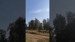 село Колтубанка Оренбургская обл