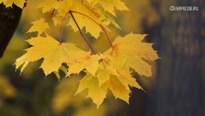 Самые счастливые имена для мальчиков