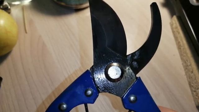 Середина лета - опять жара! смотреть онлайн