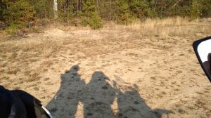 Пробег 15000 км shineray intruder 200