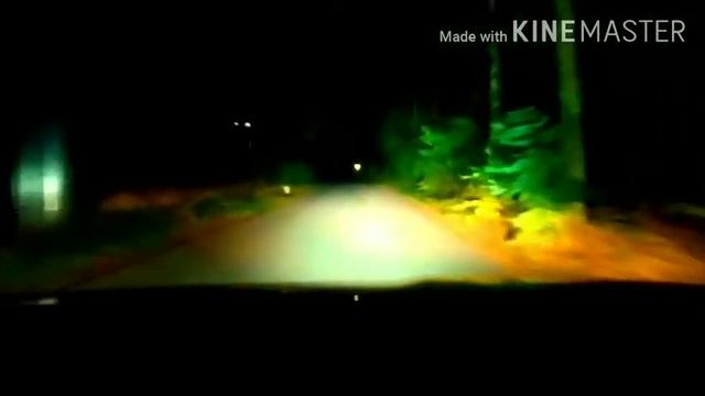 LEDy H1 смотреть онлайн