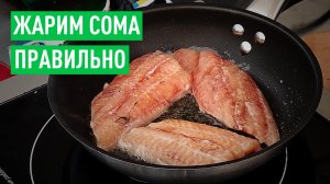 Как правильно жарить сома, чтобы получилось вкусно