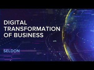 Seldon — digital transformation of Business