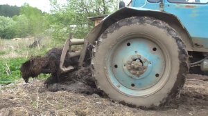 ВОЗИМ НАВОЗ на МТЗ 80