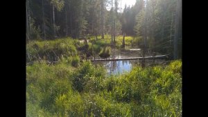 Самодельные квадроциклы  на базе двигателей: Ваз 2109 и Ока