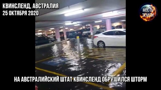 Месть Земли 23 - 25 октября 2020 ! Шершни-убийцы в США ! Наводнение в Индии ! Ураган в Квинсленде !