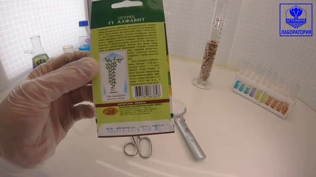 Огурец Алфавит F1. Манул смотреть онлайн