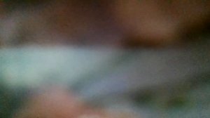 Ах, как они любили(Звезды в ночи светили,детям глаза слепили)к/ф«Проводы белых ночей»)наброски)