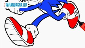 SONIC COLORING BOOK Page | How To Color SONIC | Раскраски СОНИК