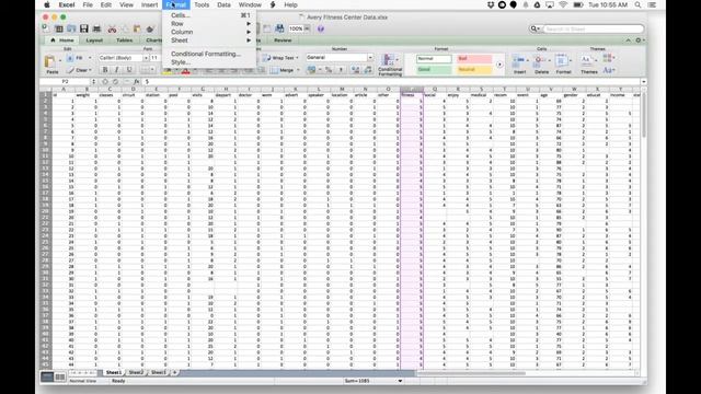 Descriptive Statistics Using StatPlus in Excel for Mac