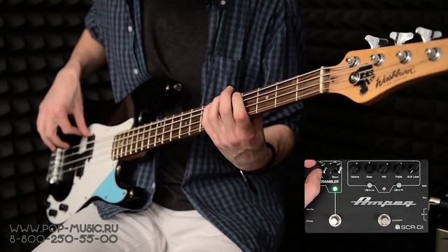 AMPEG SCR-DI BASS DI SCRAMBLER OVERDRIVE - басовая педаль мечты смотреть онлайн