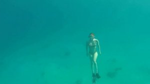 Free-diving. Go PRO. Octopus hunting.Девушки. Фридайвинг.Сноркинг