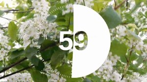 2 Minute Timer Relaxing Music Lofi Flower Spring Background