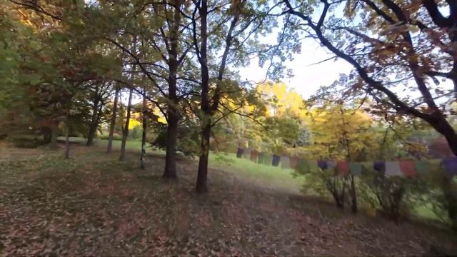 Статуя Шри Чинмоя в Киеве, памятник "Молитва о мире", Алея Мира.